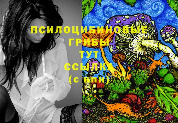 скорость Аркадак